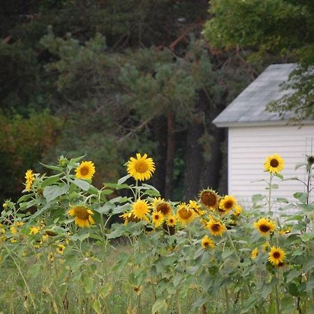 Clary Lake Bed And Breakfast Jefferson Esterno foto